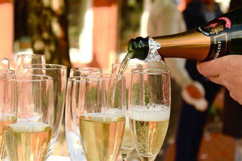 Vin and Champagne